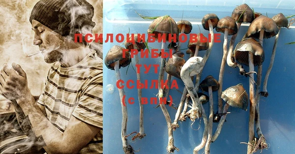 гашишное масло Аркадак